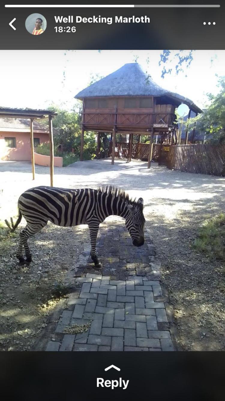 John And Noleen'S Place Marloth Park Exterior foto