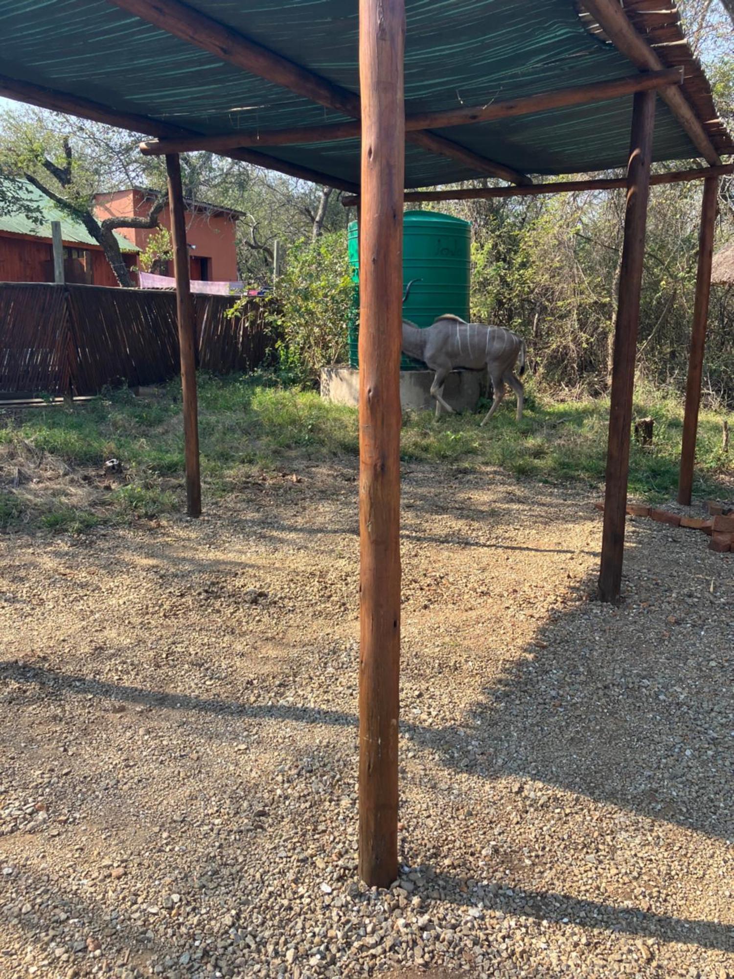 John And Noleen'S Place Marloth Park Exterior foto